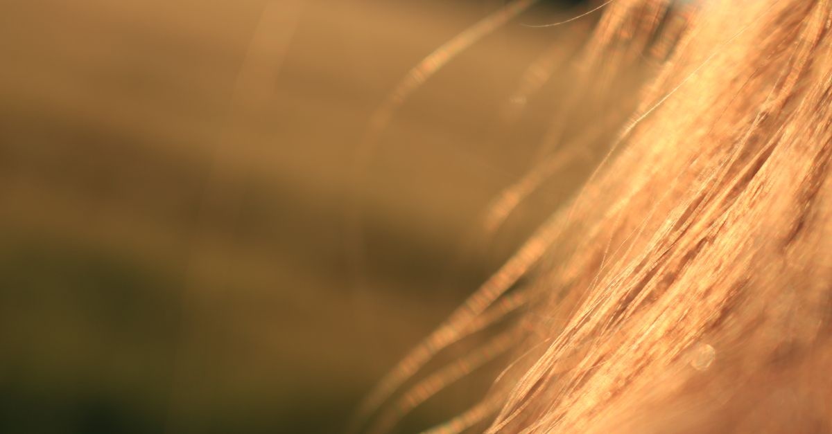 Racines qui regraissent, pointes qui dessèchent : la routine simple pour des cheveux enfin équilibrés